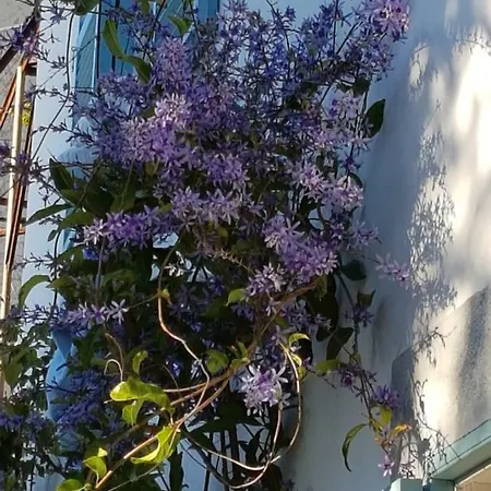 Casa Da Сasa de vacaciones Madalena do Mar