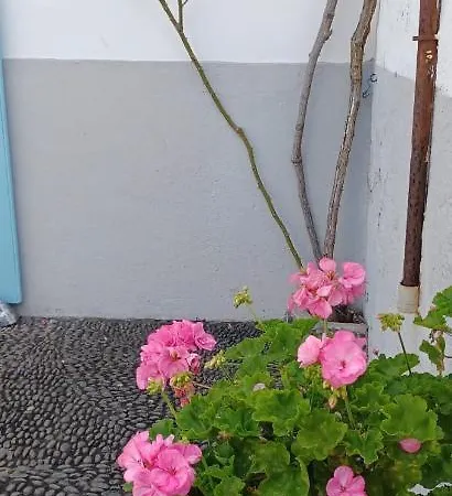 Casa Da * Madalena do Mar