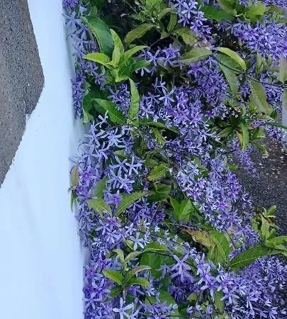 Дом отдыха Casa Da