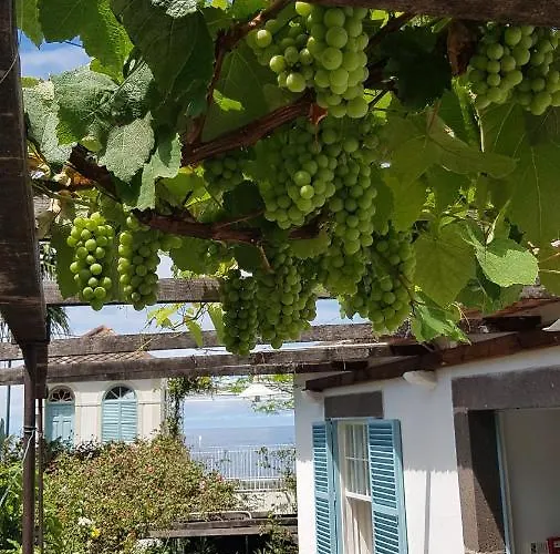 Casa Da בית נופש