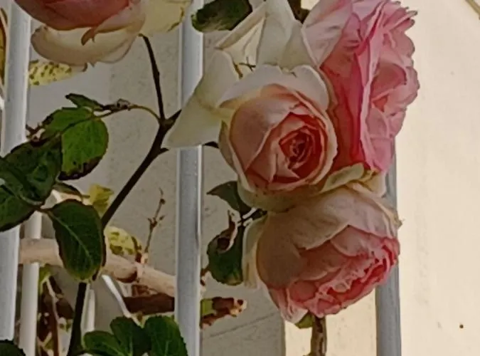 Ferienhaus Casa Da *