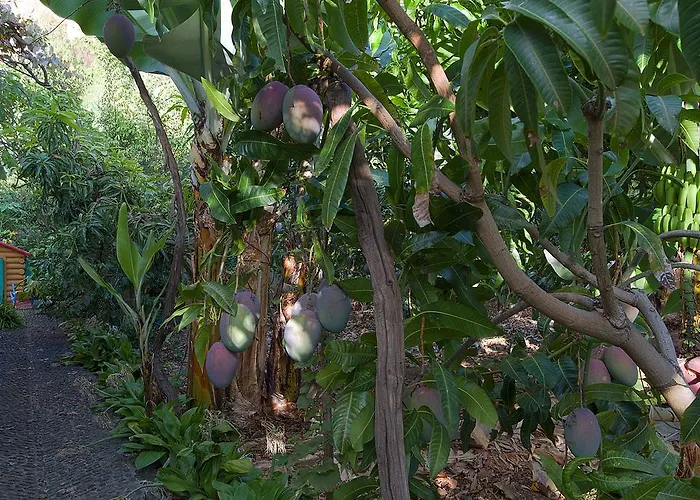 בית נופש Casa Da