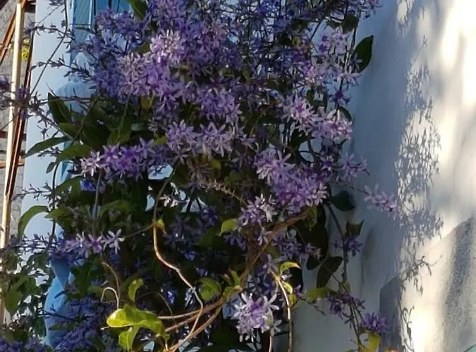 Casa Da בית נופש Madalena do Mar